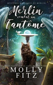Merlin combat un fantôme