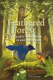 Feathered Forest: Aloft with Birds in Ancient Trees