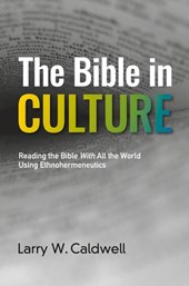 The Bible in Culture