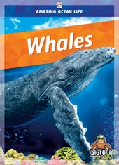 Whales