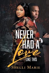 Never Had a Love like This
