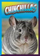 Chinchillas