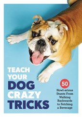 Teach Your Dog Crazy Tricks