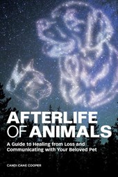 Afterlife of Animals