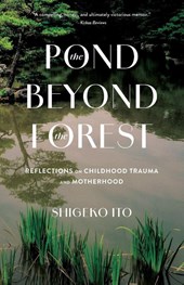 Pond Beyong the Forest