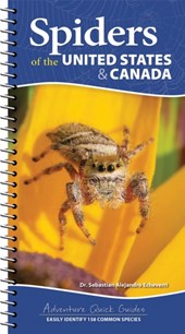 Spiders of the United States