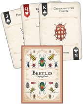 Beetles Playing Cards