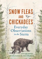 Snow Fleas and Chickadees