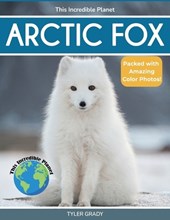 Arctic Fox