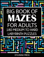 Big Book of Mazes for Adults