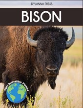 Bison
