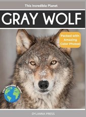 Gray Wolf