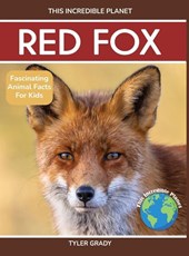 Red Fox