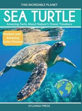 Sea Turtle