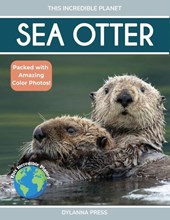 Sea Otter