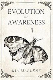 Evolution of Awareness