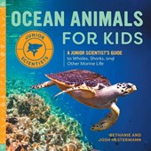Ocean Animals for Kids