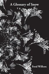 A Glossary of Snow