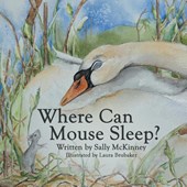 Where Can Mouse Sleep?
