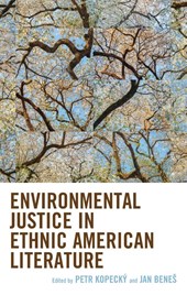 Environmental Justice in Ethnic American Literature