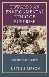 Towards an Environmental Ethic of Surprise