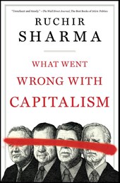 What Went Wrong with Capitalism