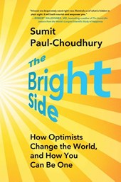 Paul-Choudhury, S: Bright Side