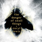 The Danger of Small Things