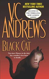 Black Cat
