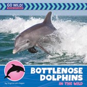 Bottlenose Dolphins in the Wild