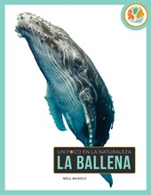 La Ballena