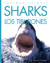 Sharks / Los Tiburones
