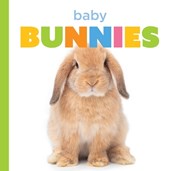 Baby Bunnies