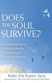 Does the Soul Survive? (2nd Edition)