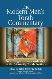 The Modern Men's Torah Commentary