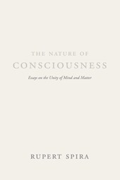 The Nature of Consciousness