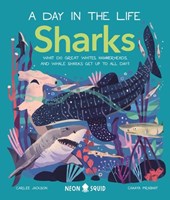 Sharks (A Day in the Life)