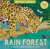 Rain Forest