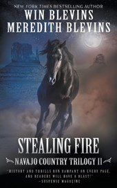 Stealing Fire: A Historical Mystery Series