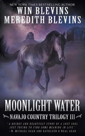 Moonlight Water: A Historical Mystery Series