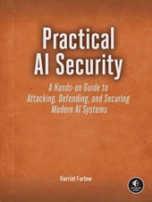 Practical AI Security