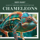 Chameleons