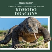 Komodo Dragons