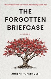 The Forgotten Briefcase