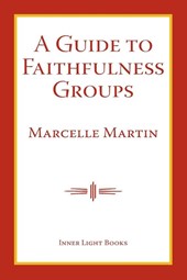 A Guide To Faithfulness Groups