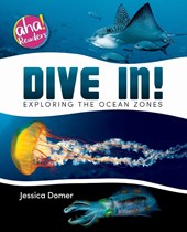 DIVE IN
