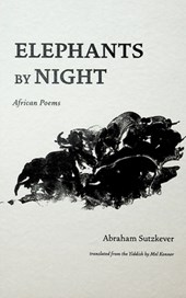 Elephants by Night