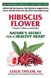 Hibiscus Flower