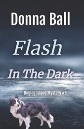 FLASH IN THE DARK