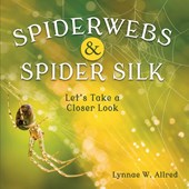 Spiderwebs and Spider Silk